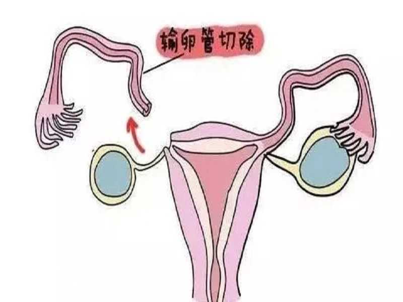 南京长江医院可以做供卵试管婴儿吗？试管费用多少？