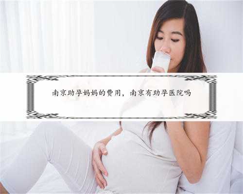 南京助孕妈妈的费用，南京有助孕医院吗