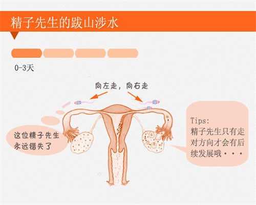 香港验血是验性染色体吗,香港验血鉴定男女攻略
