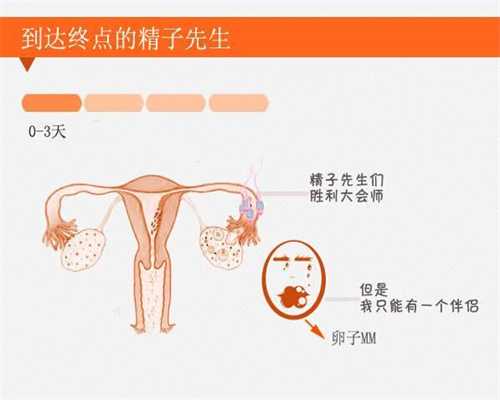 香港验血是验性染色体吗,香港验血鉴定男女攻略