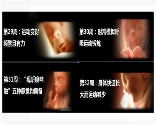 香港验血鉴定男女有不准的吗__香港验血三大检验所
