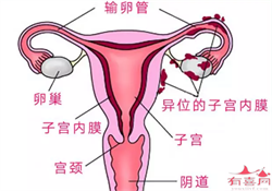 苏州三代试管代孕步骤（苏州找女人生小孩中介）
