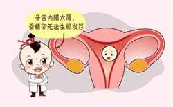 杭州有供卵代孕吗（杭州试管代怀对女性要求）
