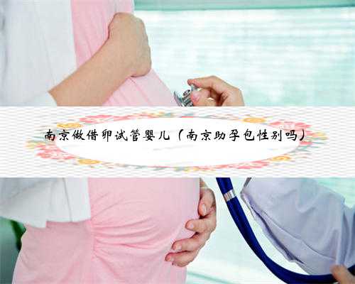 南京做借卵试管婴儿（南京助孕包性别吗）
