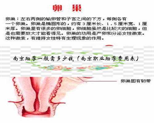 南京助孕一般需多少钱（南京职业助孕费用表）