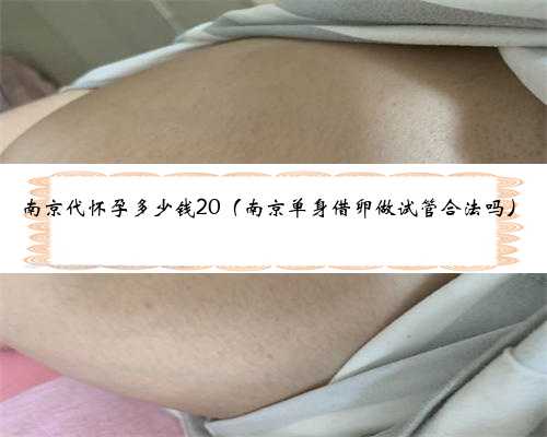 南京代怀孕多少钱20（南京单身借卵做试管合法吗）