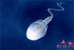 上海合法代怀孕保密咨询（上海专业助孕网站）