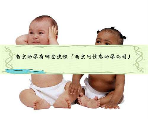 南京助孕有哪些流程（南京同性恋助孕公司）