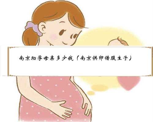 南京助孕母亲多少钱（南京供卵借腹生子）